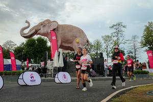 BIB: 
                            <button type="button" onclick="openModal(26528643)" class="btn btn-primary btn-sm float-right btn-popup" data-toggle="modal" data-target=".modal-high-quality">
                        <i class="fas fa-shopping-cart"></i> Add to Cart
                    </button>
                                            <button type="button" onclick="isThisMe(26528643, true)" class="btn btn-success btn-sm float-right btn-popup btn-isme hidden" data-toggle="tooltip" data-placement="bottom" title="นี่คือรูปของคุณใช่ไหม คลิกที่นี่เพื่อเอาเข้าอัลบั้ม">
                        <i class="fas fa-plus"></i> Add to album
                    </button>
                    <button type="button" onclick="isThisMe(26528643, false)" class="btn btn-warning btn-sm float-right btn-popup btn-isnotme hidden">
                        <i class="fas fa-ban"></i> Remove from album
                    </button>